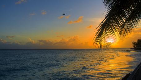 Summer sunset wallpaper