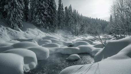 Serene Winter Wonderland Scene wallpaper