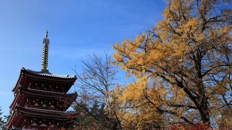 Hondo-ji Temple wallpaper