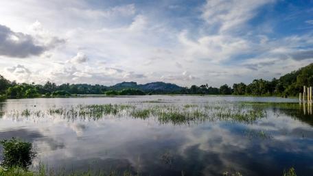 Flooded Marshy Lands wallpaper