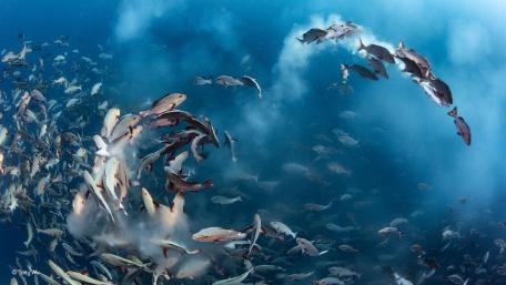 Whirlpool underwater wallpaper