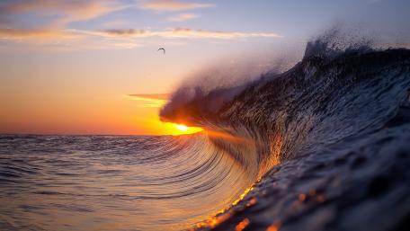Wave in the sunset wallpaper
