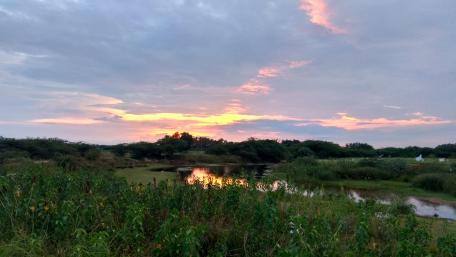Serene Sunset Over Tranquil Waters wallpaper