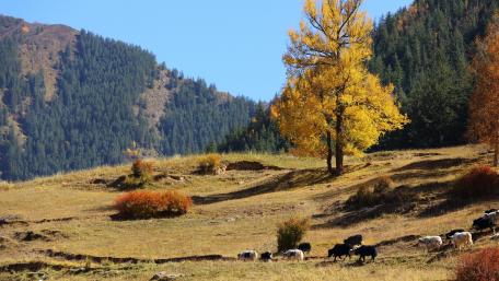 Gansu Corridor at fall wallpaper