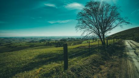 Landscape from a dirt road wallpaper