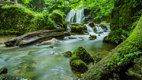 Mossy forest stream wallpaper