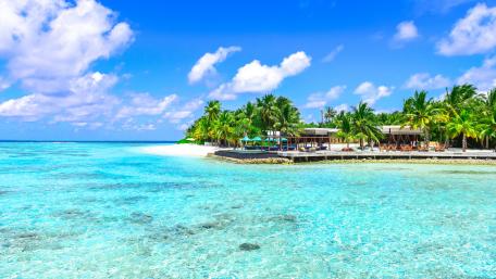 Summertime vacation wallpaper