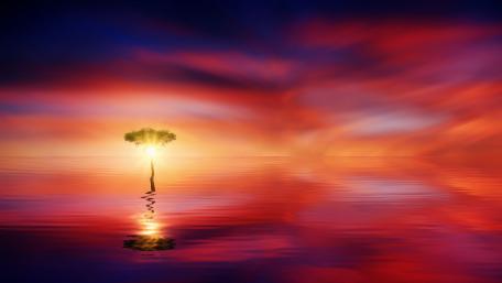 Lone tree in the sunset - Fantasy landscape wallpaper