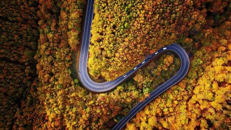 Highway in the fall forest wallpaper