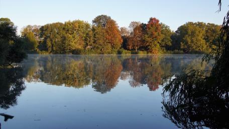 Morning reflection wallpaper