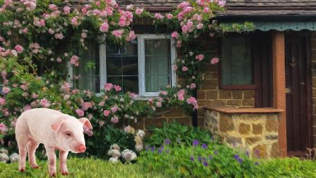 Charming Pig in a Flower Garden Scene wallpaper