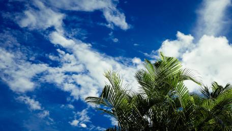 Summer sky wallpaper