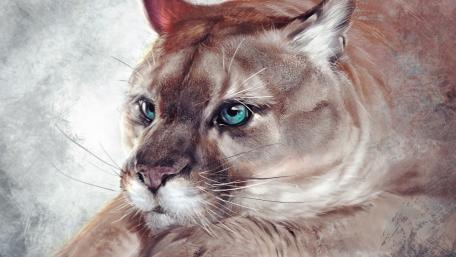 Cougar - Painting art wallpaper