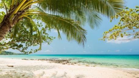 Tropical beach wallpaper