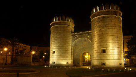 Puerta De Palmas wallpaper