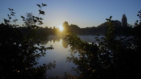 Sunday morning at the lake wallpaper