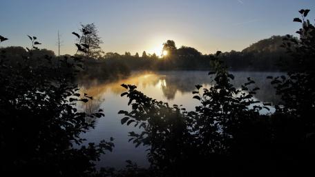 The sun dispels the fog wallpaper