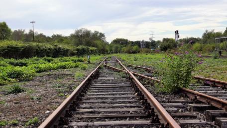 A track into the green wallpaper