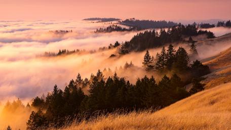 Serene Morning Mist Over Majestic Hills wallpaper