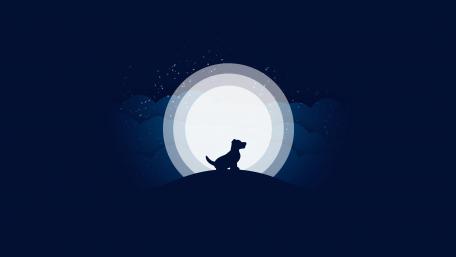 Dog howling wallpaper