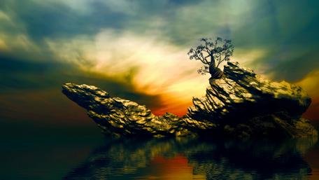 Lone tree on a rock wallpaper