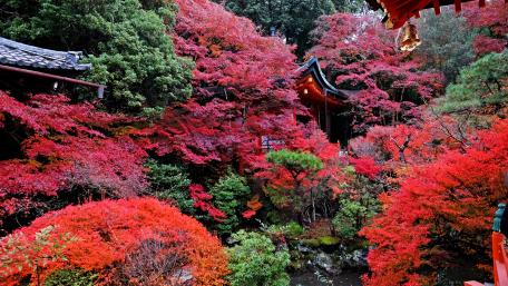 Temple in Kyoto wallpaper