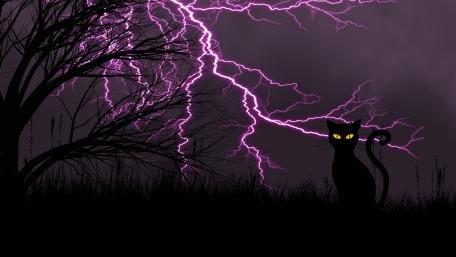 Black cat with lightning stirikes wallpaper