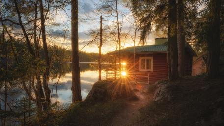 Morning sunlight on the lakeside wallpaper