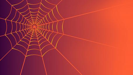 Spiderweb graphics wallpaper
