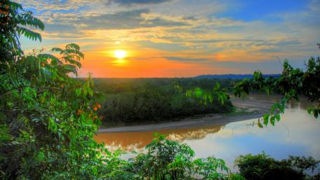 Amazon River wallpaper