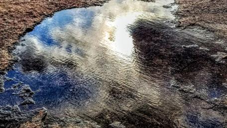 Serene Reflections in Water Pooling Above Ground wallpaper