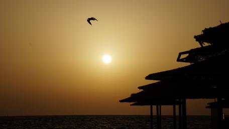 Sunrise on the beach wallpaper