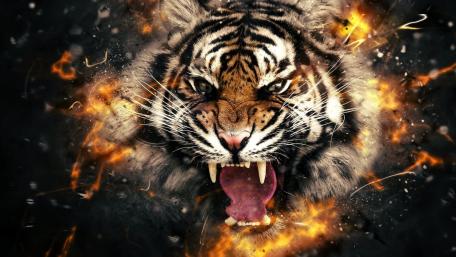 Roaring tiger wallpaper