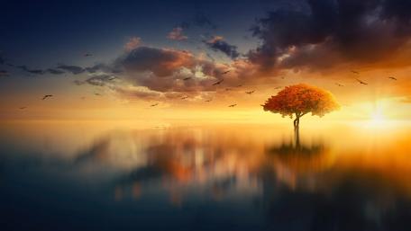 Scenic sunset fantasy landscape wallpaper