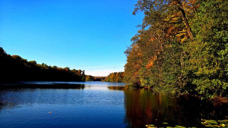 Polish autumn landscape wallpaper