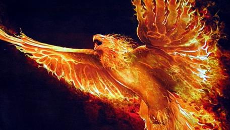 Fire phoenix wallpaper