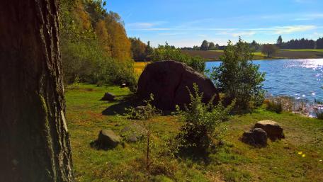 Serene Lake View in Poland with Stones and Lush Greenery wallpaper