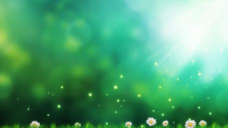Light in the field wallpaper