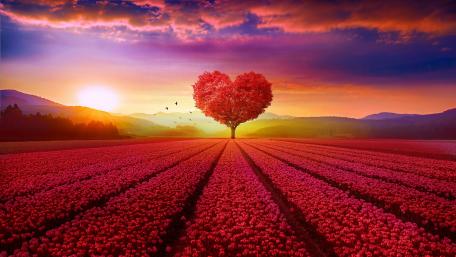 Heart tree wallpaper