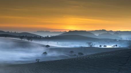 Early morning mist wallpaper