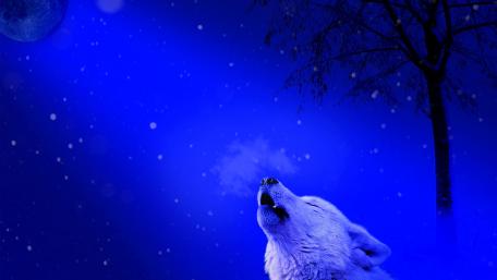 Wolf howling - Fantasy art wallpaper