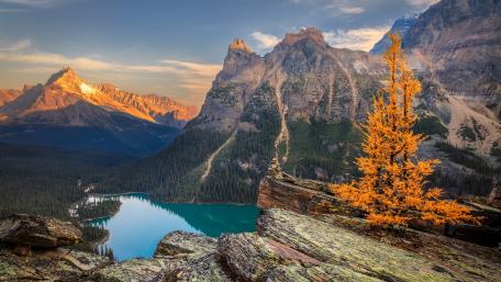 Lake O'Hara wallpaper