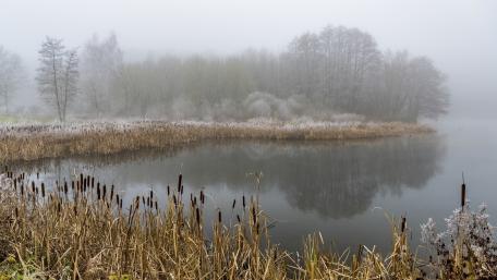 Winter Serenity in Hoarfrost Mists wallpaper