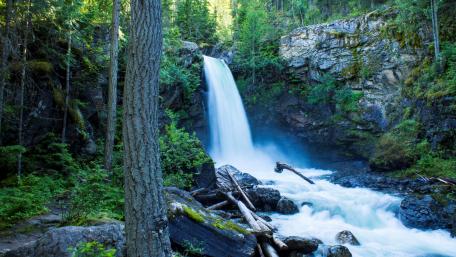 Sutherland Falls wallpaper