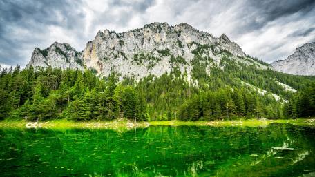 Grüner See (Austria) wallpaper