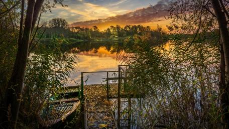 Serene Evening by the Lake wallpaper