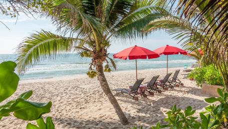 Sunbeds on the beach wallpaper