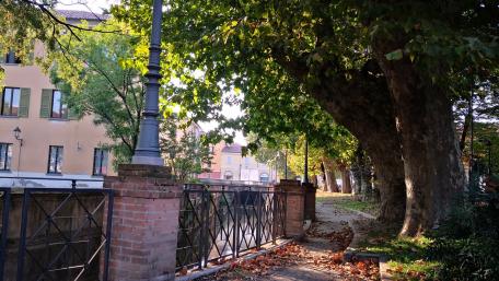 Charming City Park Pathway Scene wallpaper