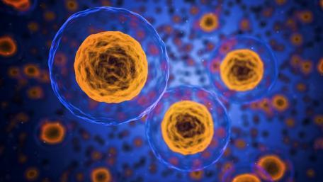 Microbiology cell structure wallpaper