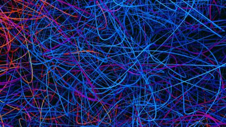 Tangled neon lines wallpaper
